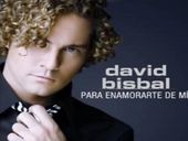 David Bisbal Para Enamorarte De Mí