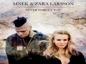 Zara Larsson Never Forget You ft MNEK