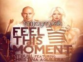 Pitbull Feel This Moment 